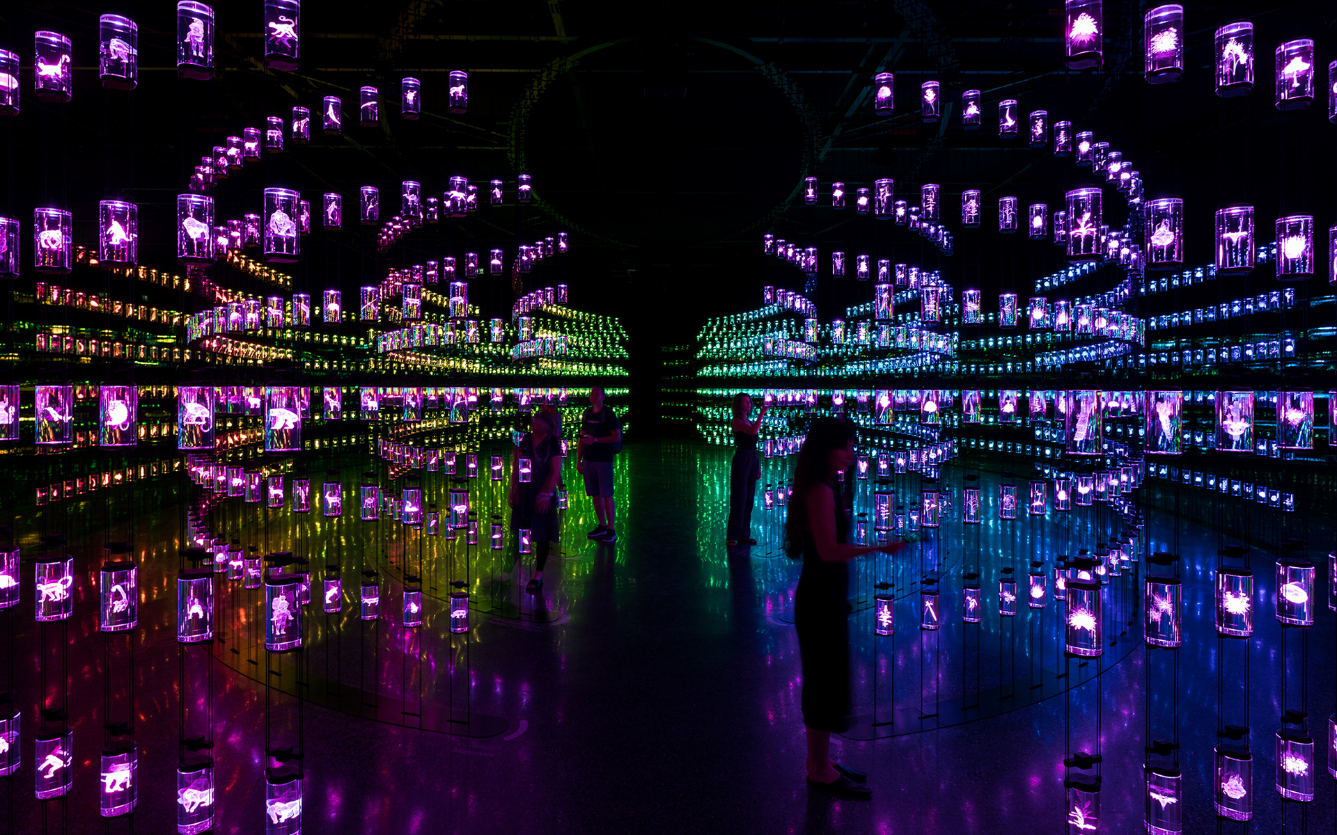 The HEAL Institute forest level: a recreated indoor forest with tall trunks and dappled green foliage, daylight filtering through a high atrium ceiling, with visitors walking a curving path through the canopy.